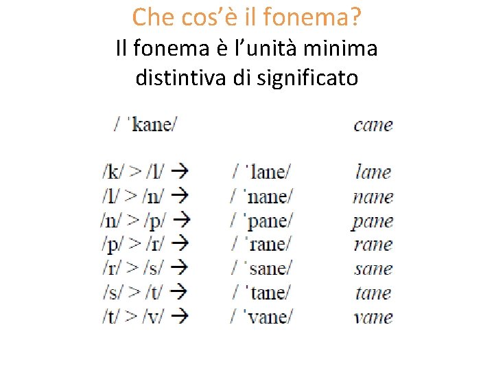 Che cos’è il fonema? Il fonema è l’unità minima distintiva di significato 