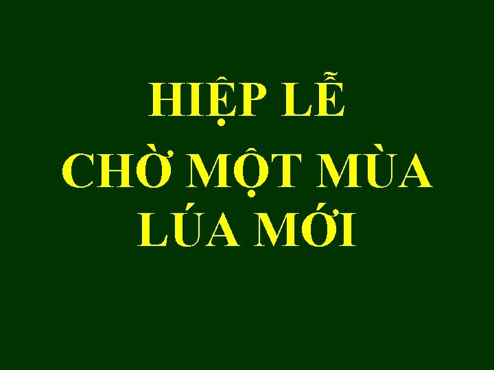 HIỆP LỄ CHỜ MỘT MÙA LÚA MỚI 