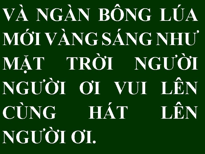 VÀ NGÀN BÔNG LÚA MỚI VÀNG SÁNG NHƯ MẶT TRỜI NGƯỜI ƠI VUI LÊN