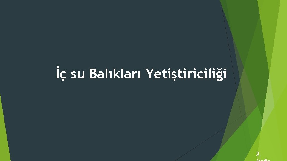 İç su Balıkları Yetiştiriciliği 9. 