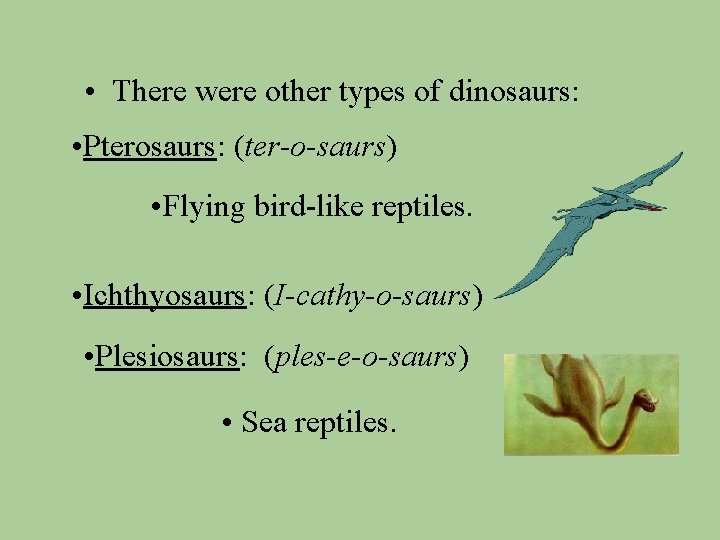  • There were other types of dinosaurs: • Pterosaurs: (ter-o-saurs) • Flying bird-like