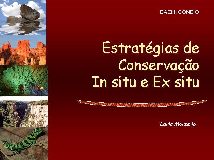 EACH, CONBIO Estratégias de Conservação In situ e Ex situ Carla Morsello 