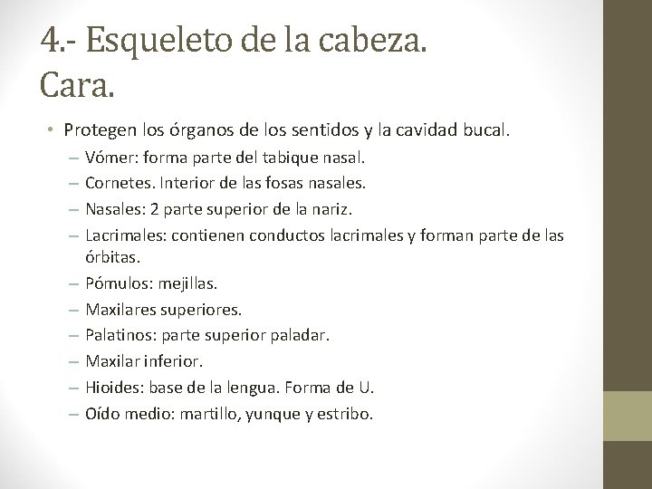 4. - Esqueleto de la cabeza. Cara. • Protegen los órganos de los sentidos