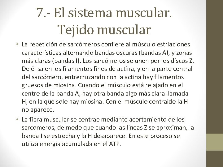 7. - El sistema muscular. Tejido muscular • La repetición de sarcómeros confiere al