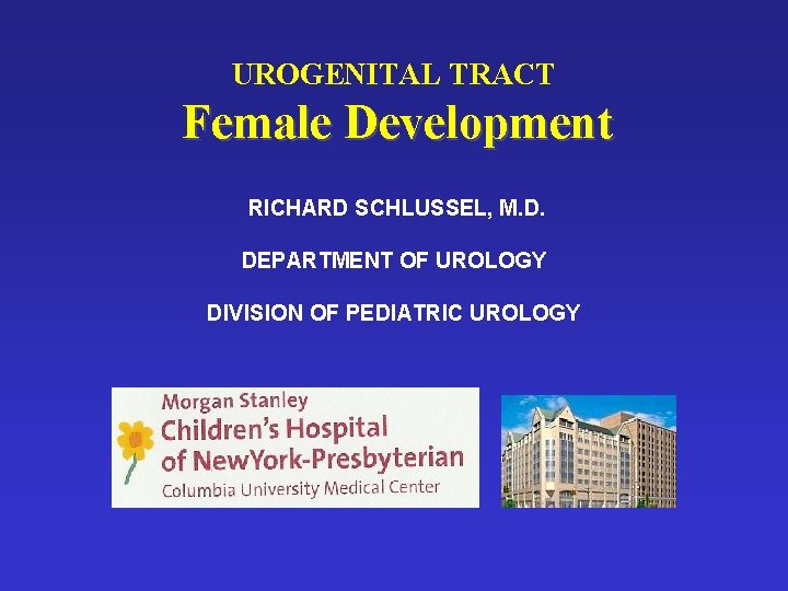 UROGENITAL TRACT Female Development RICHARD SCHLUSSEL, M. D. DEPARTMENT OF UROLOGY DIVISION OF PEDIATRIC