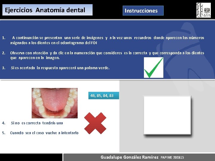 Ejercicios Anatomía dental Instrucciones 1. A continuación se presentan una serie de imágenes y