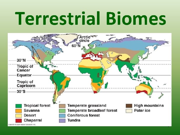 Terrestrial Biomes 1 