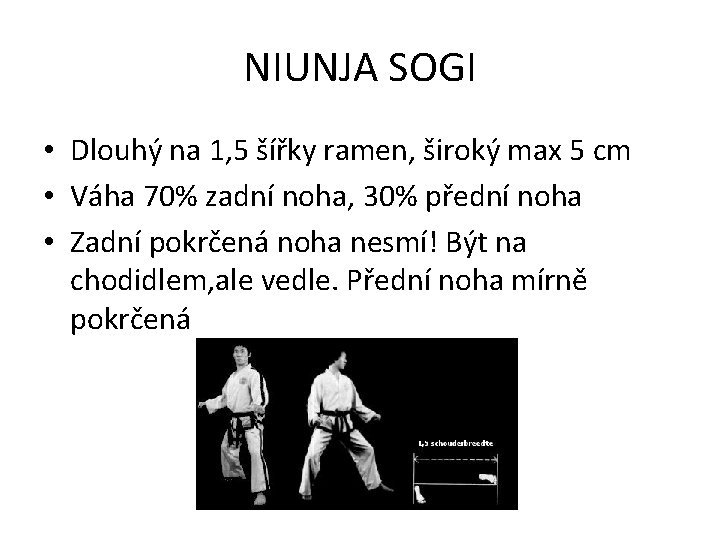 NIUNJA SOGI • Dlouhý na 1, 5 šířky ramen, široký max 5 cm •