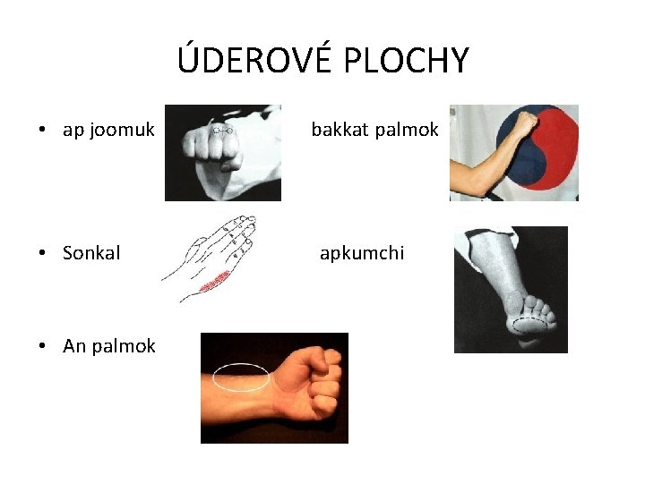 ÚDEROVÉ PLOCHY • ap joomuk • Sonkal • An palmok bakkat palmok apkumchi 