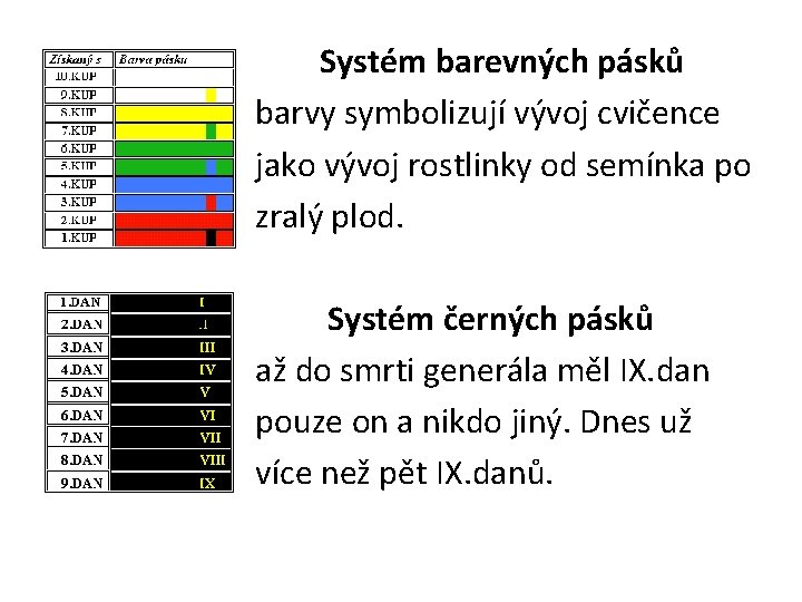  • • Systém barevných pásků barvy symbolizují vývoj cvičence jako vývoj rostlinky od