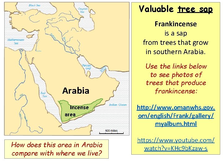 Valuable tree sap Frankincense is a sap from trees that grow in southern Arabia