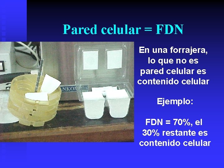 Pared celular = FDN En una forrajera, lo que no es pared celular es