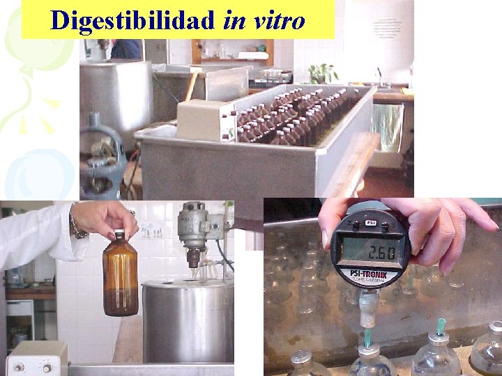 Digestibilidad in vitro 