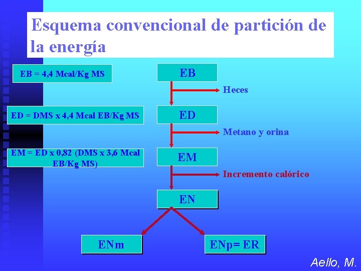 Esquema convencional de partición de la energía EB = 4, 4 Mcal/Kg MS EB