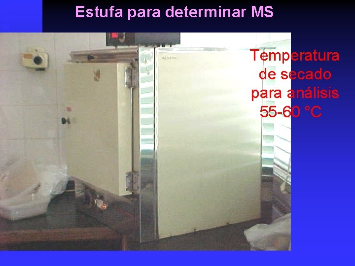 Estufa para determinar MS Temperatura de secado para análisis 55 -60 °C 