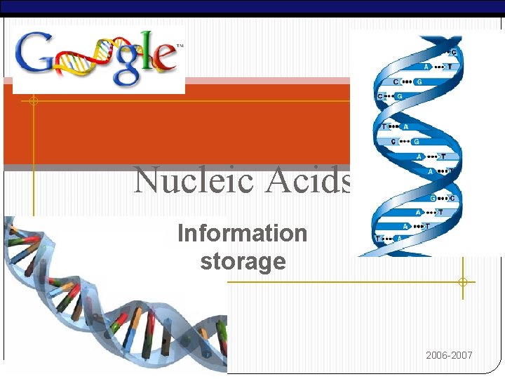 Nucleic Acids Information storage AP Biology 2006 -2007 