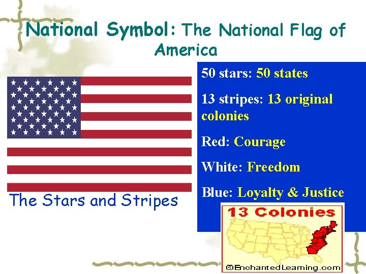 National Symbol: The National Flag of America 50 stars: 50 states 13 stripes: 13