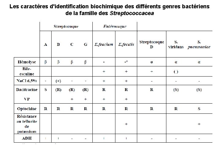 Les caractères d'identification biochimique des différents genres bactériens de la famille des Streptococcacea 