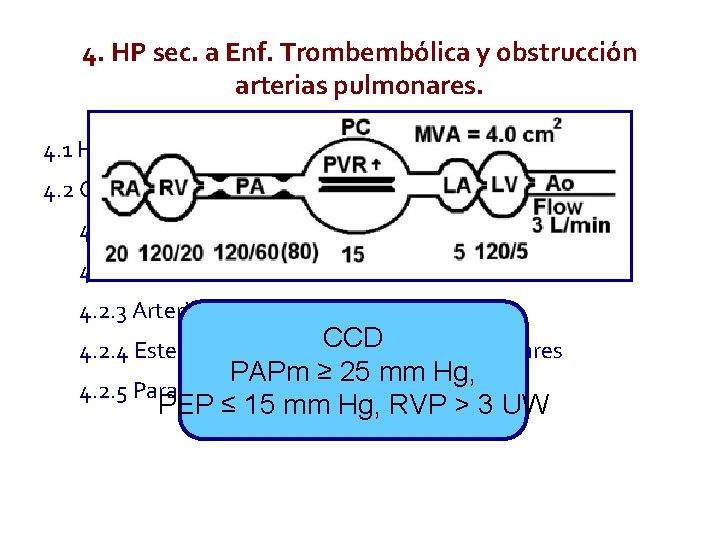 4. HP sec. a Enf. Trombembólica y obstrucción arterias pulmonares. 4. 1 HP tromboembólica