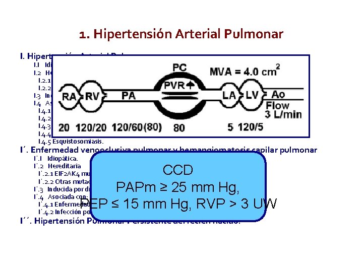 1. Hipertensión Arterial Pulmonar I. Hipertensión Arterial Pulmonar. I. I Idiopática. I. 2 Hereditaria 1. Hipertensión Arterial Pulmonar I. Hipertensión Arterial Pulmonar. I. I Idiopática. I. 2 Hereditaria