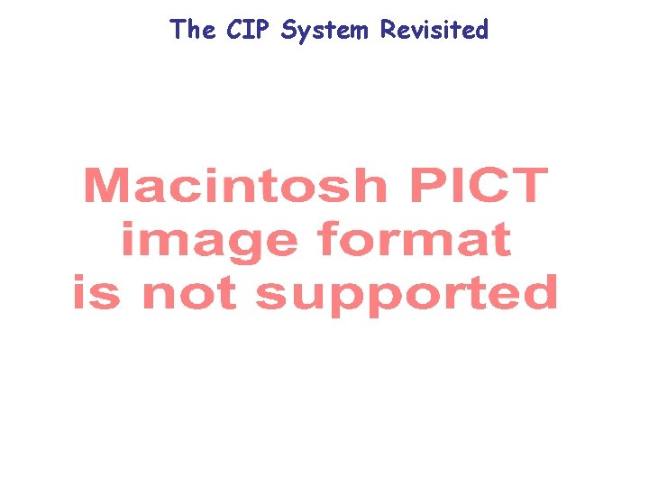 The CIP System Revisited The CIP System Revisited