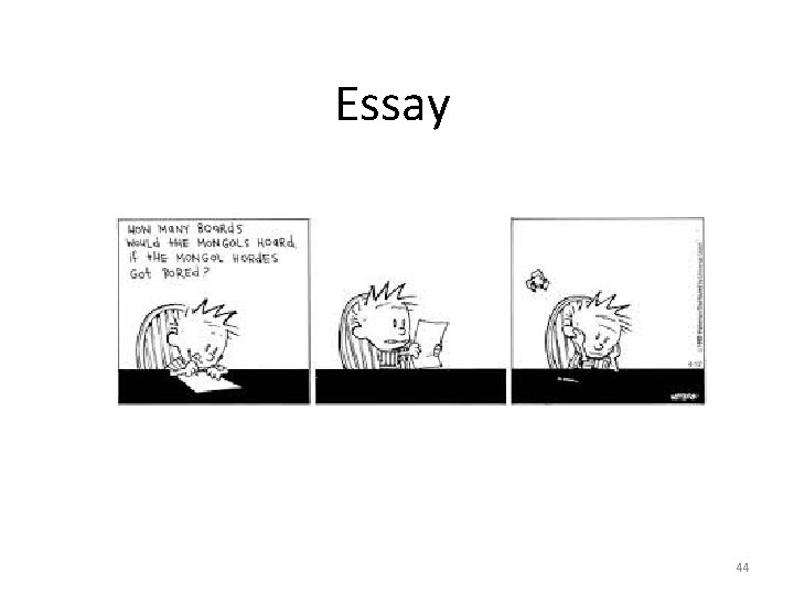 Essay 44 Essay 44