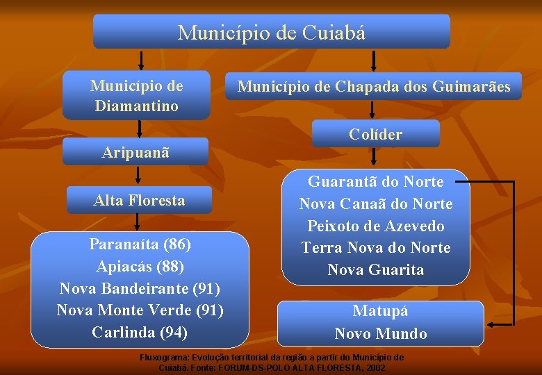 Município de Cuiabá Município de Diamantino Aripuanã Alta Floresta Paranaíta (86) Apiacás (88) Nova