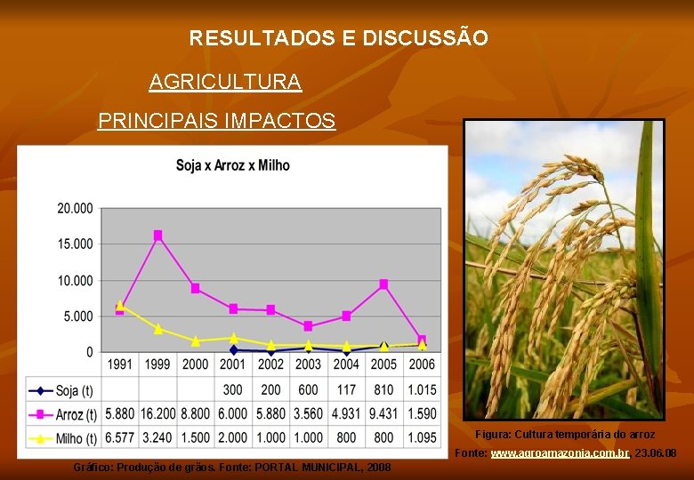 RESULTADOS E DISCUSSÃO AGRICULTURA PRINCIPAIS IMPACTOS Figura: Cultura temporária do arroz Fonte: www. agroamazonia.