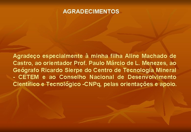 AGRADECIMENTOS Agradeço especialmente à minha filha Aline Machado de Castro, ao orientador Prof. Paulo