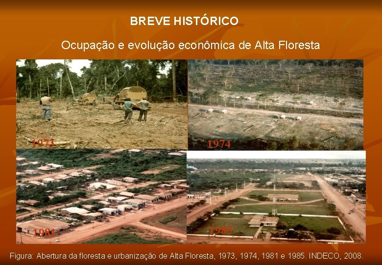 BREVE HISTÓRICO Ocupação e evolução econômica de Alta Floresta 1973 1974 1981 1985 Figura: