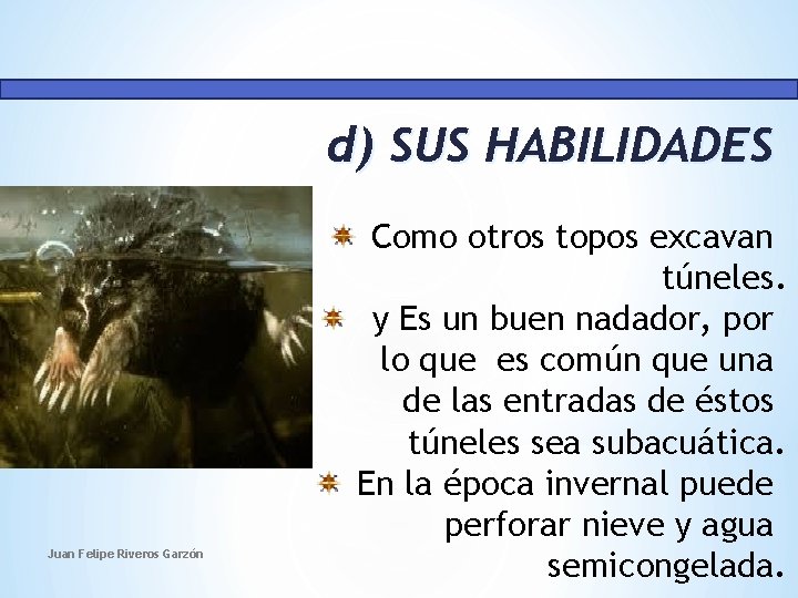 d) SUS HABILIDADES Juan Felipe Riveros Garzón Como otros topos excavan túneles. y Es