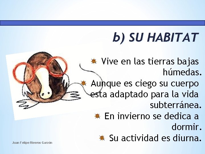 b) SU HABITAT Juan Felipe Riveros Garzón Vive en las tierras bajas húmedas. Aunque