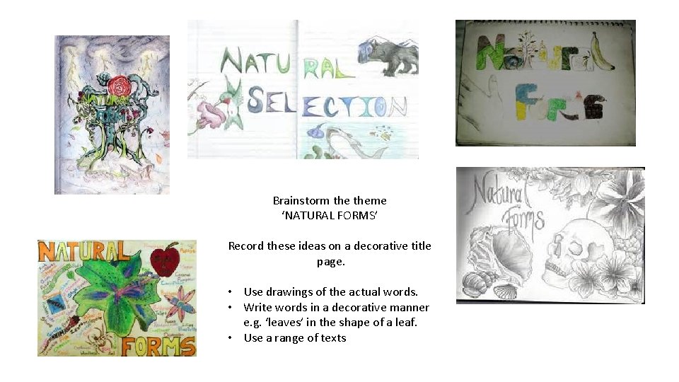 Brainstorm theme ‘NATURAL FORMS’ Record these ideas on a decorative title page. • Use