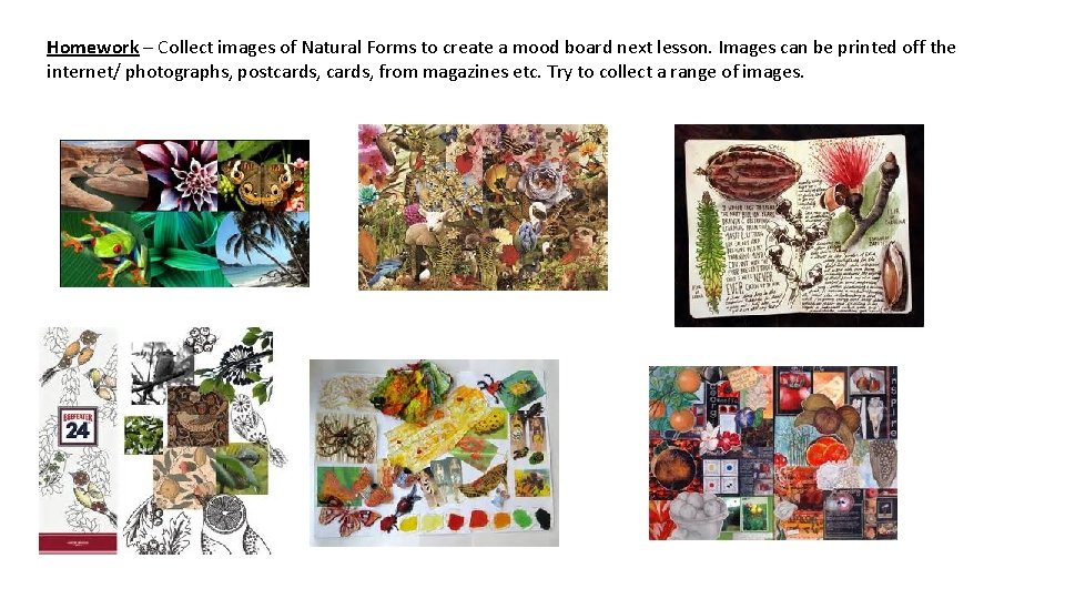 Homework – Collect images of Natural Forms to create a mood board next lesson.