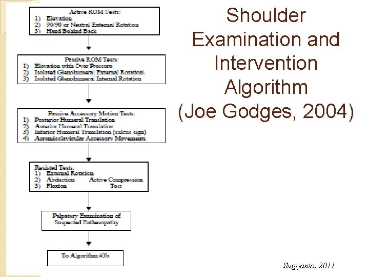 Shoulder Examination and Intervention Algorithm (Joe Godges, 2004) Sugijanto, 2011 