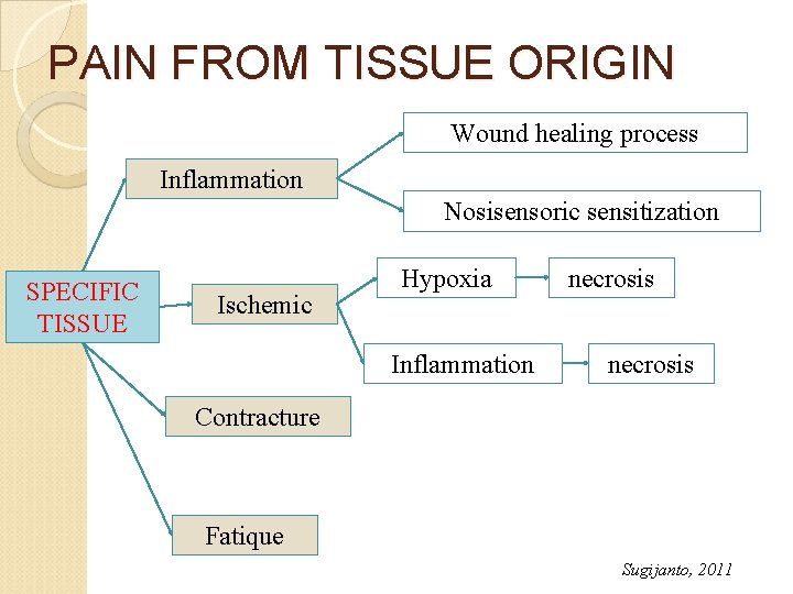 PAIN FROM TISSUE ORIGIN Wound healing process Inflammation Nosisensoric sensitization SPECIFIC TISSUE Ischemic Hypoxia