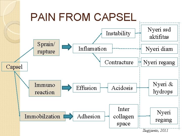 PAIN FROM CAPSEL Instability Sprain/ rupture Inflamation Nyeri diam Contracture Capsel Immuno reaction Immobilzation