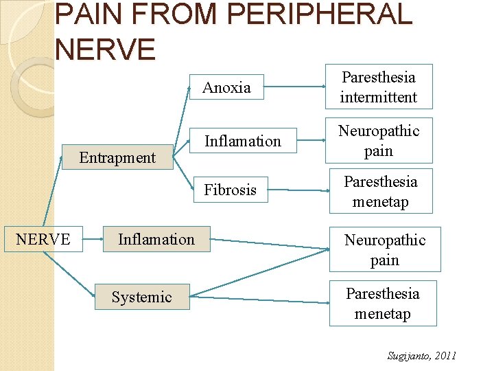 PAIN FROM PERIPHERAL NERVE Entrapment Anoxia Paresthesia intermittent Inflamation Neuropathic pain Fibrosis NERVE Inflamation