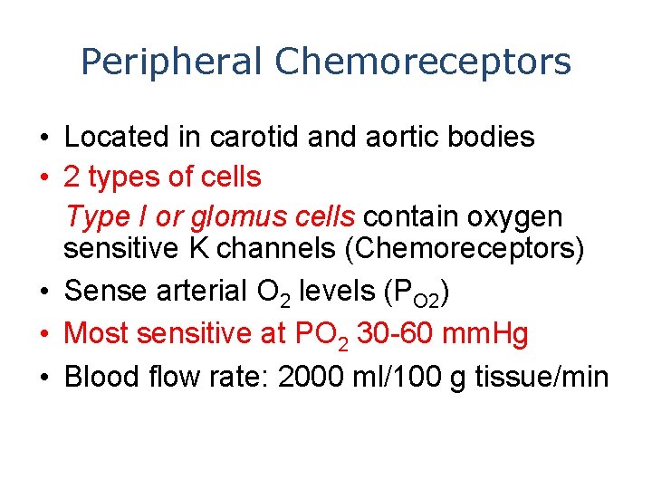 Peripheral Chemoreceptors • Located in carotid and aortic bodies • 2 types of cells