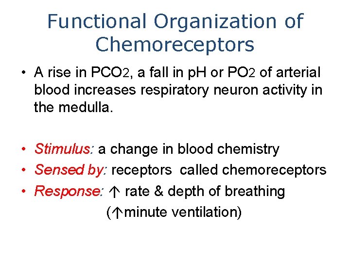 Functional Organization of Chemoreceptors • A rise in PCO 2, a fall in p.
