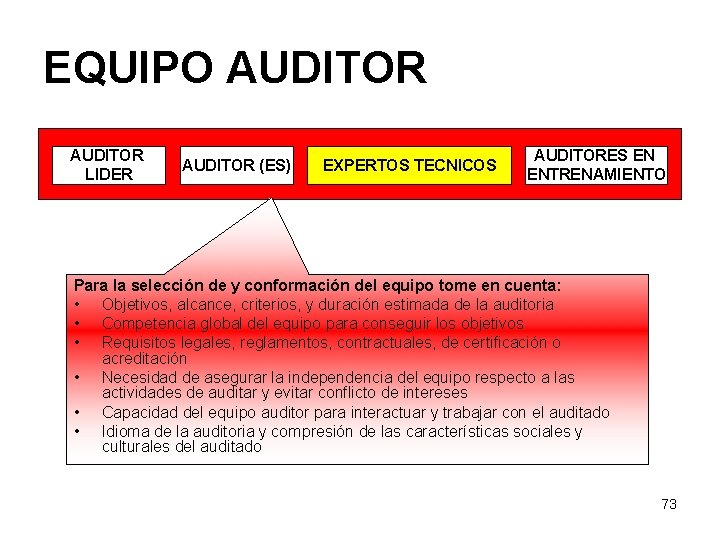 EQUIPO AUDITOR LIDER AUDITOR (ES) EXPERTOS TECNICOS AUDITORES EN ENTRENAMIENTO Para la selección de