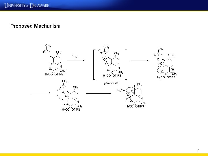 Proposed Mechanism 7 
