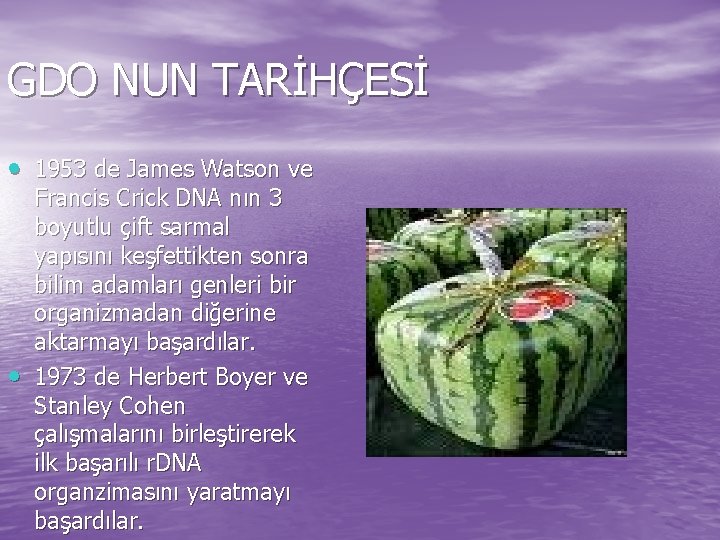 GDO NUN TARİHÇESİ • 1953 de James Watson ve • Francis Crick DNA nın