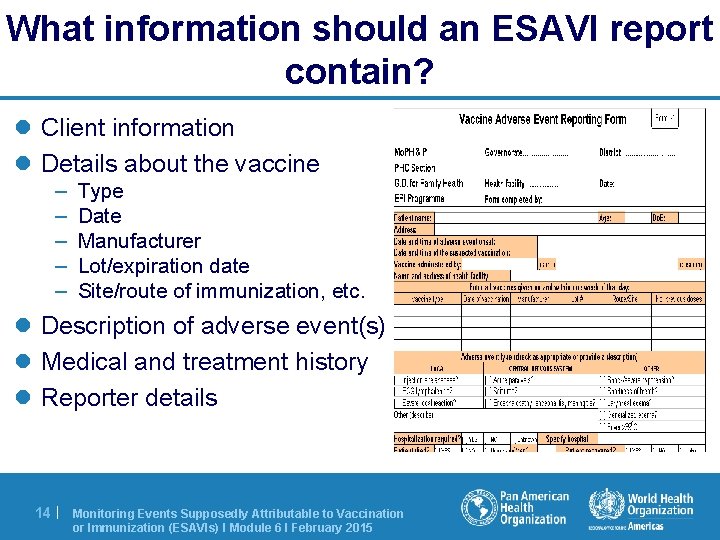 What information should an ESAVI report contain? l Client information l Details about the What information should an ESAVI report contain? l Client information l Details about the