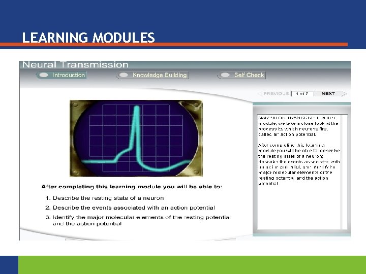 LEARNING MODULES 