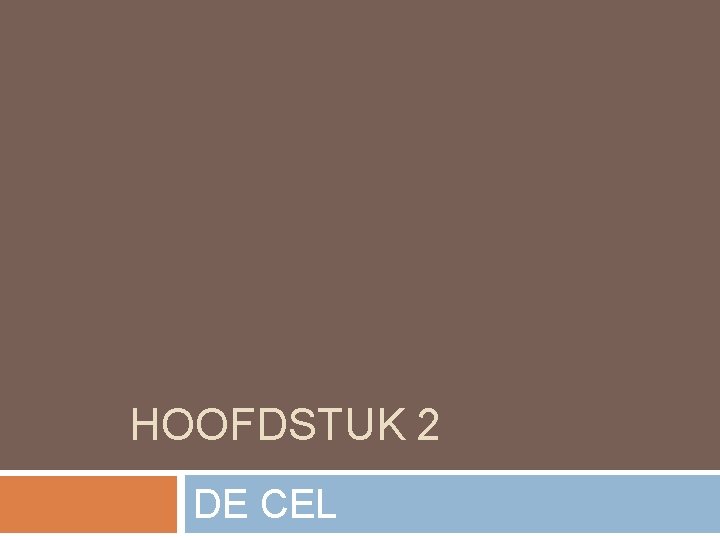 HOOFDSTUK 2 DE CEL 