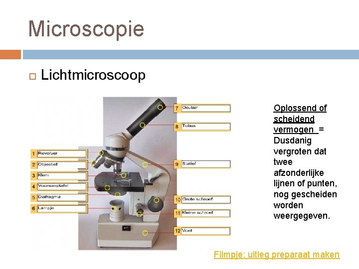 Microscopie Lichtmicroscoop Oplossend of scheidend vermogen = Dusdanig vergroten dat twee afzonderlijke lijnen of