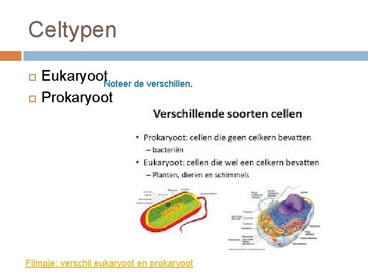 Celtypen Eukaryoot. Noteer de verschillen. Prokaryoot Filmpje: verschil eukaryoot en prokaryoot 