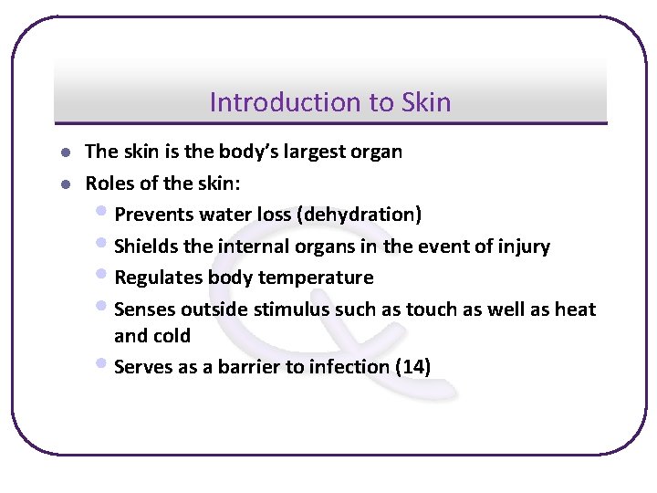 Introduction to Skin l l The skin is the body’s largest organ Roles of