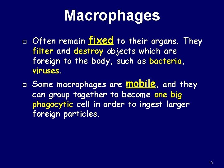 Macrophages Often remain fixed to their organs. They filter and destroy objects which are